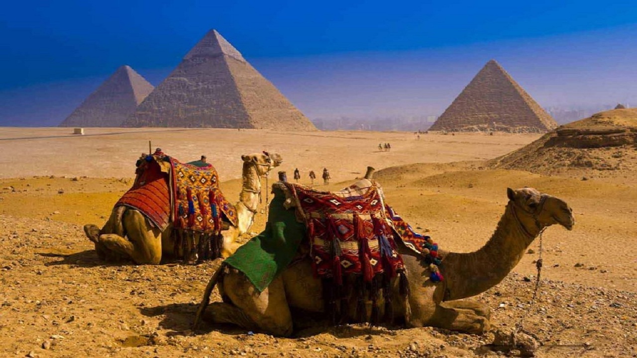 1 Day Tour to Cairo from Eilat